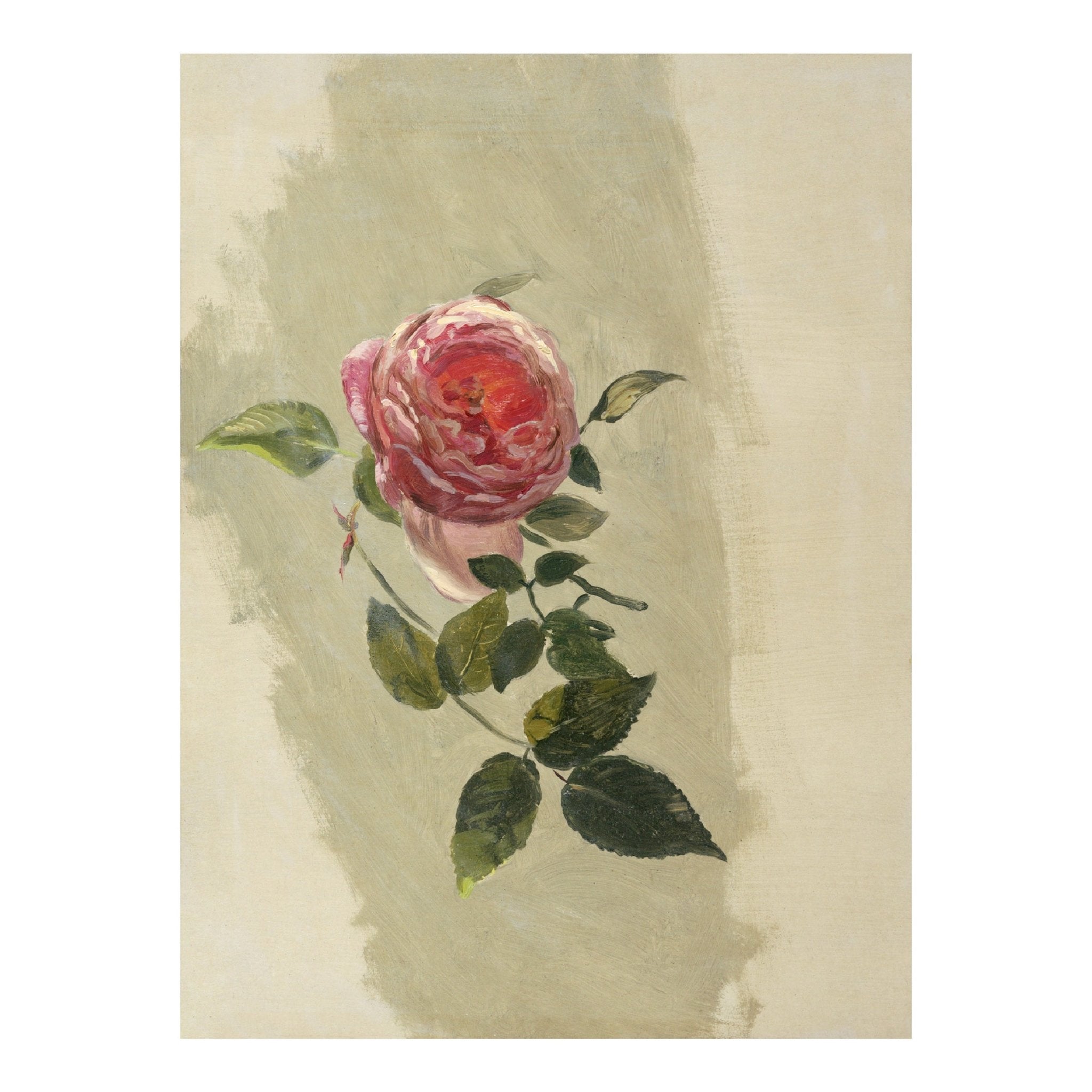 Decorative "A Rose Bough (1860)" by Frederic Edwin Church Poster | High - Quality Print | Repositionable Adhesive - Pasquín