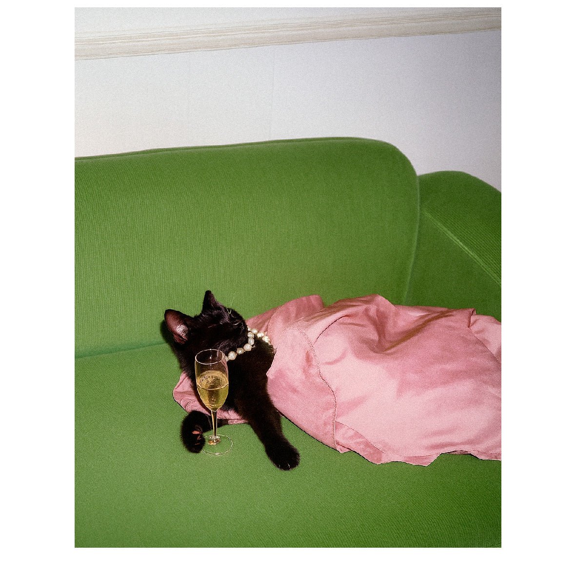 Decorative "Coquette Collection: Cat's Life" Poster | High - Quality Print | Repositionable Adhesive - Pasquín