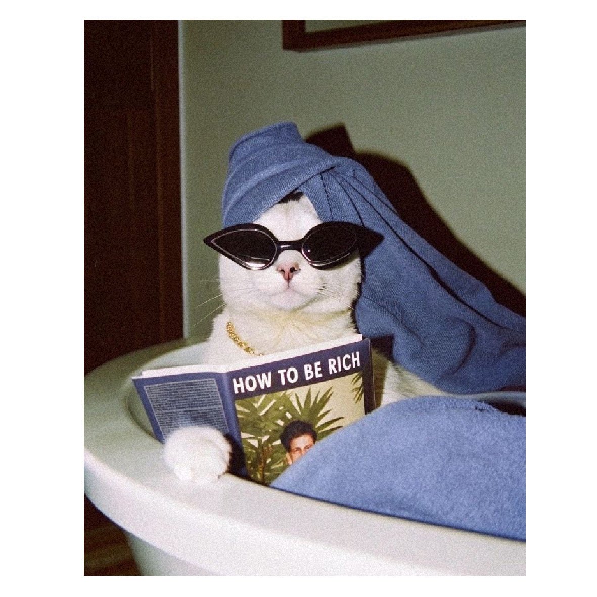 Decorative "Coquette Collection: How to be Rich" Poster | High - Quality Print | Repositionable Adhesive - Pasquín