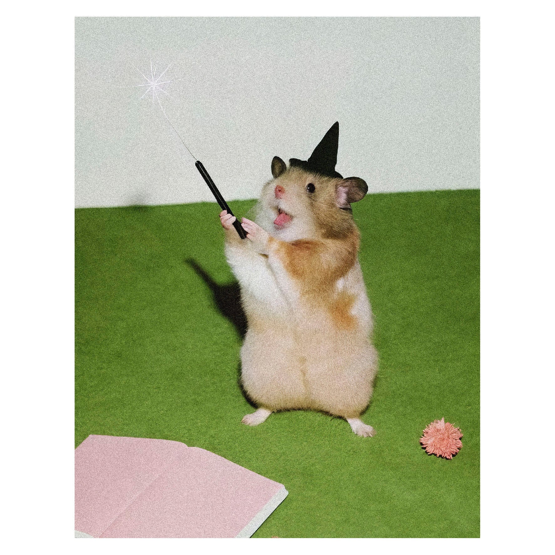 Decorative "Coquette Collection: Potter Mouse" Poster | High - Quality Print | Repositionable Adhesive - Pasquín