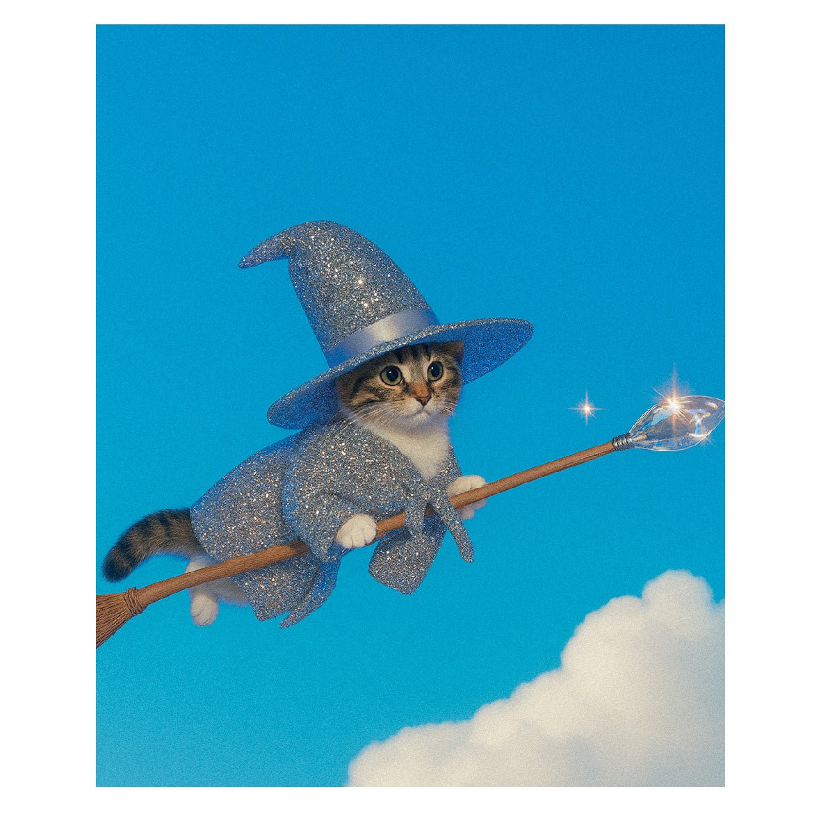 Decorative "Coquette Collection: Starlight Wizard" Poster | High - Quality Print | Repositionable Adhesive - Pasquín